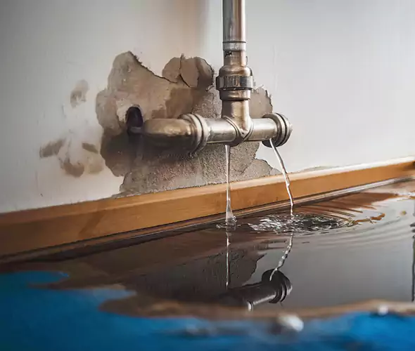 Professional Water Damage Restoration Experts in East Northport, NY — Fast, Reliable & Certified